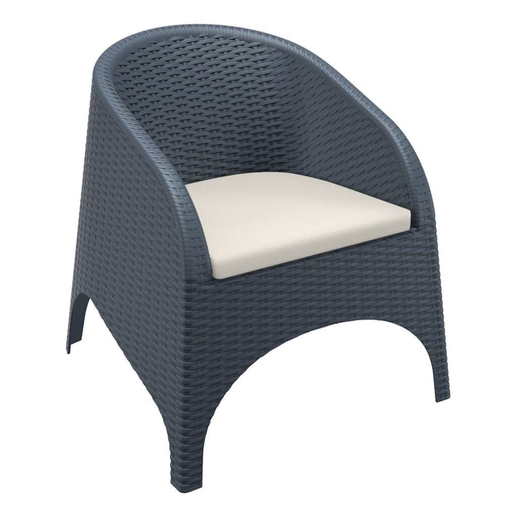 Aruba Armchair – Anthracite with Beige Cushion image