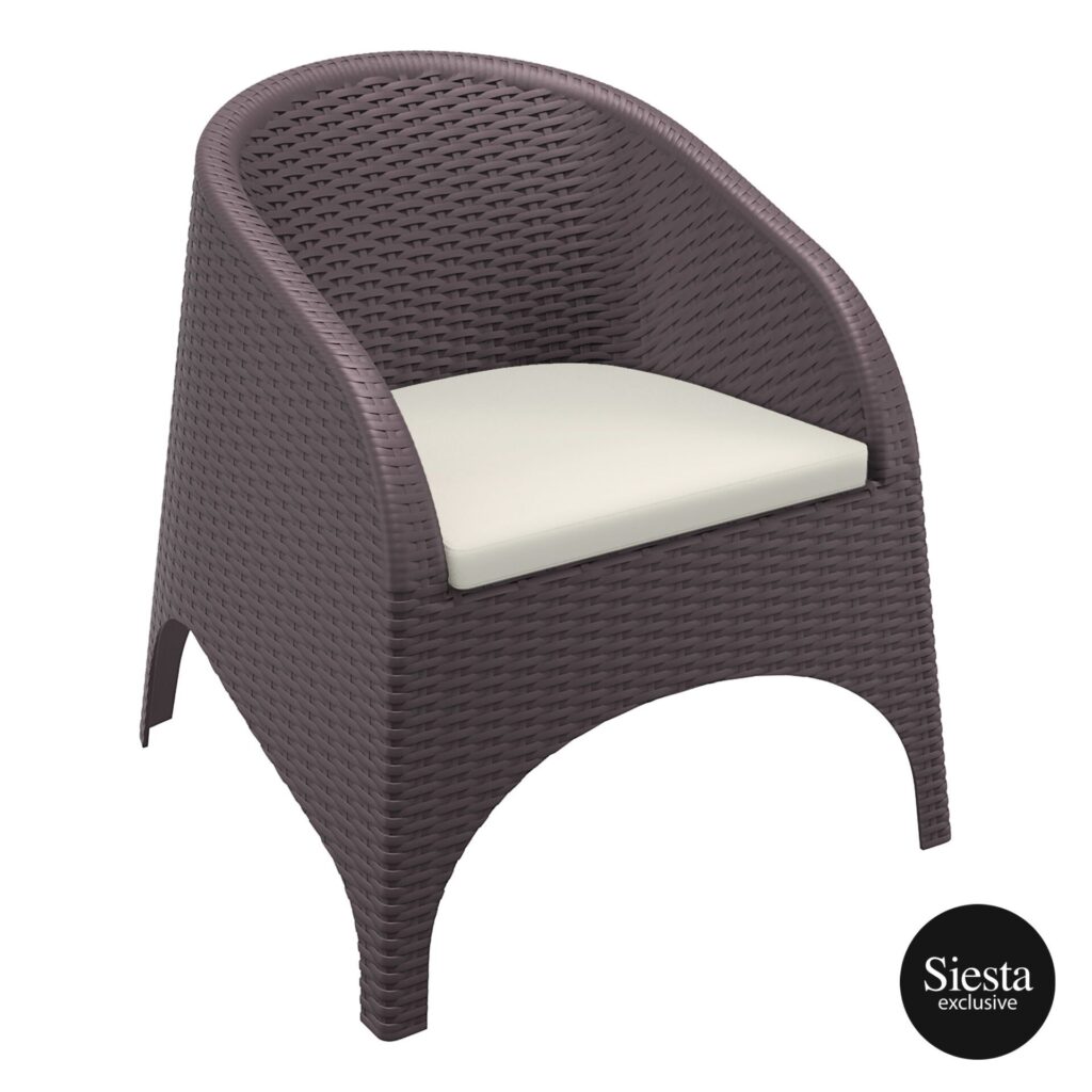 Aruba Armchair – Chocolate with Beige Cushion image
